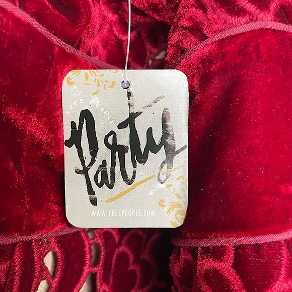 Free People NWT Velvet Dress Size L - Picture 5 of 11